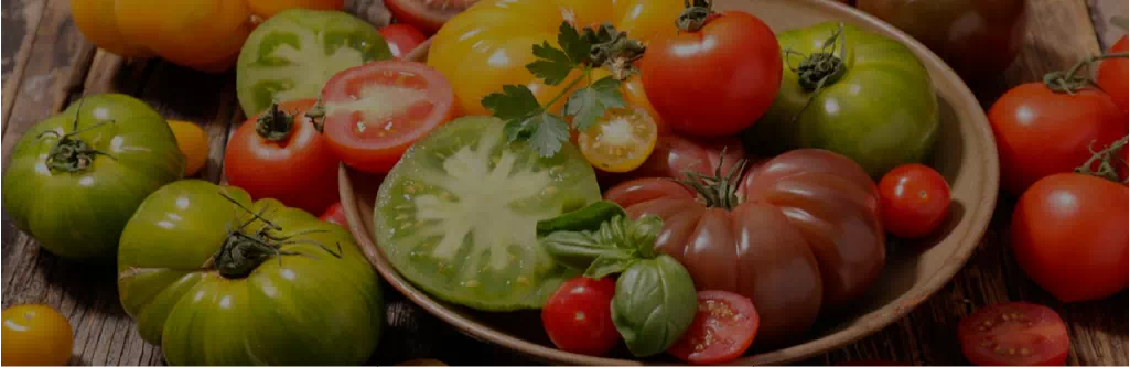 Tomato Taxonomy Culinary Use
