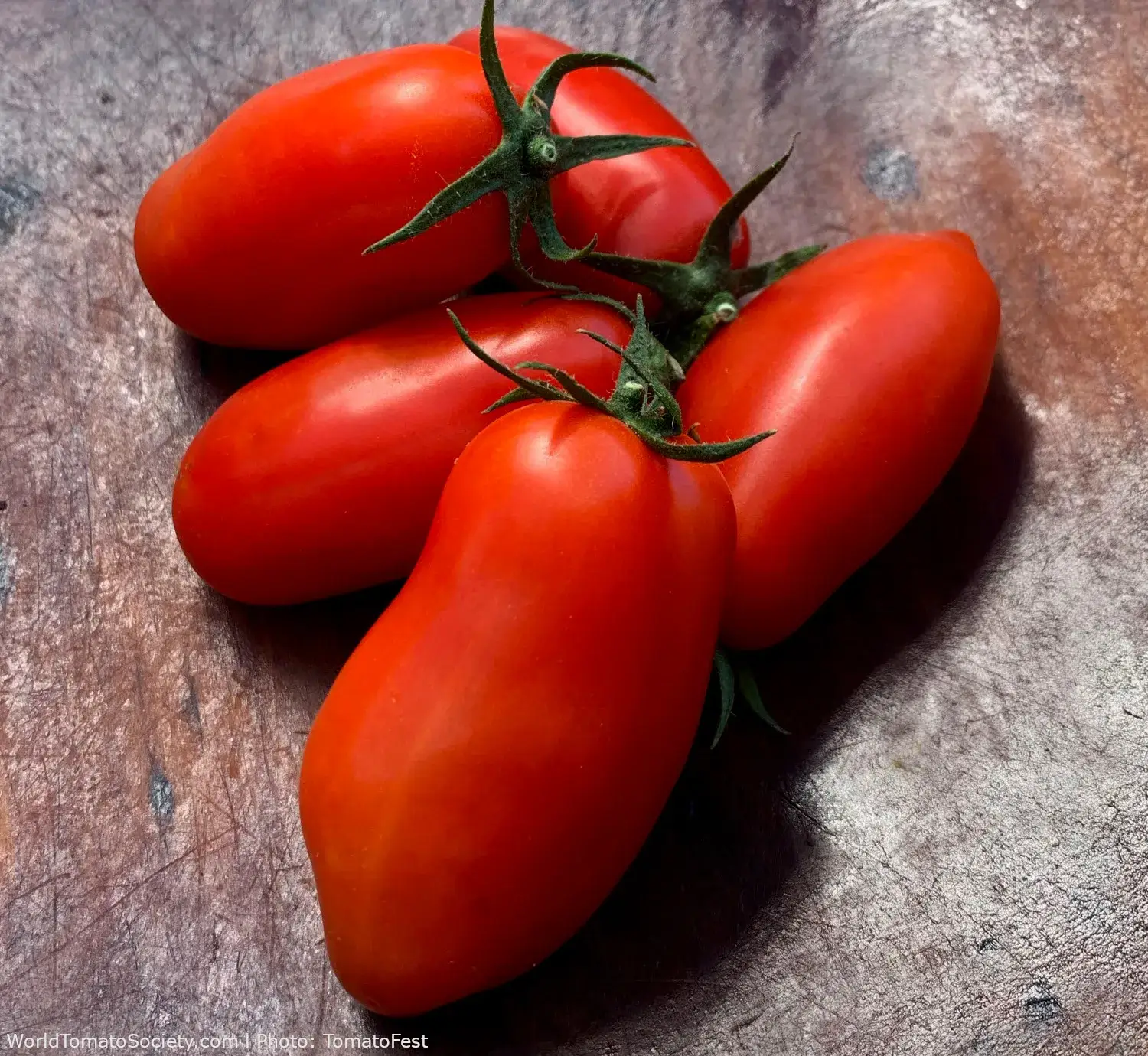 Red Paste-Type Tomato - San Marzano